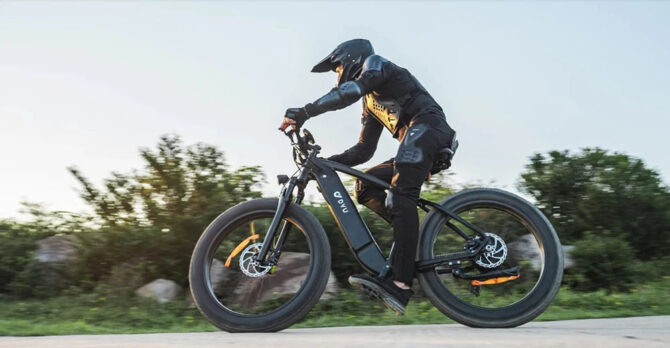 DYU King 750 – Bild 14